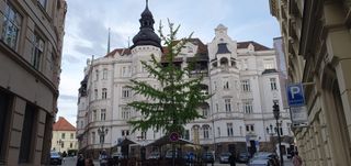 Bishop's building near the cathedral