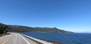 Roadside landscape