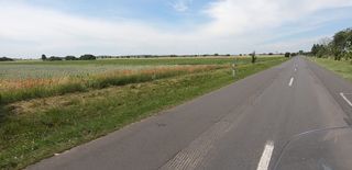 Poppies in the fields of western Hungary
