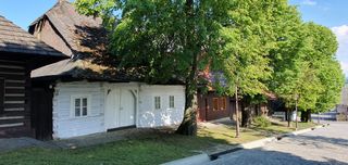 Wooden house