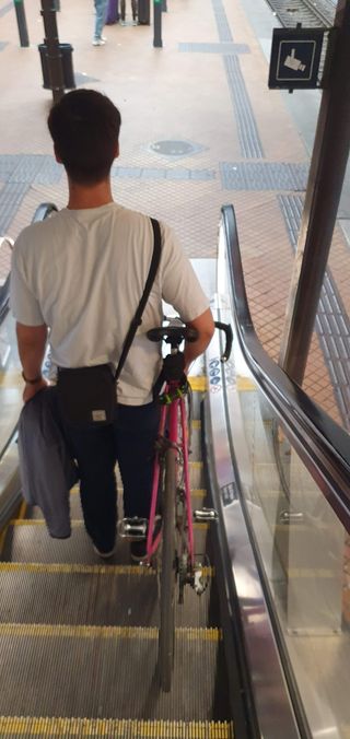 Bicycles are a practical means of transportation in Copenhagen