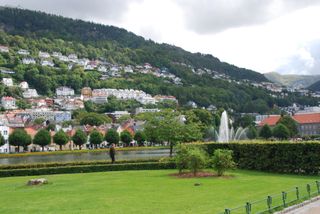 Large city park with the fountain in the distance