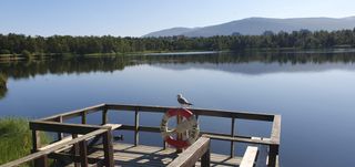 View of the lake