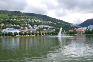 Lake and fountain in the park