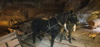 Horses were used for help