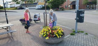 Two ladies from a nearby flower shop take care of the street flowers