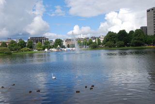 The lake in the park from a different angle