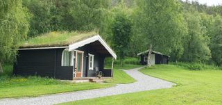 Wooden cabins with grass on the roof