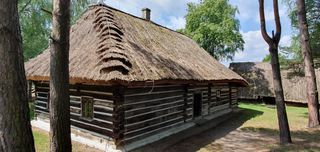 The school