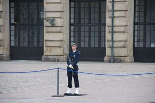 The Royal Palace guard