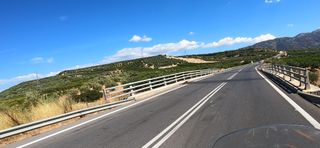 Olive groves in the south of Peloponnese