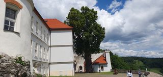The castle in Liptovský Hrádok