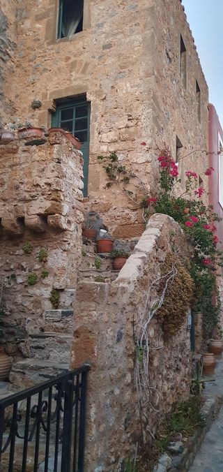 Beautiful flowers on the stairway