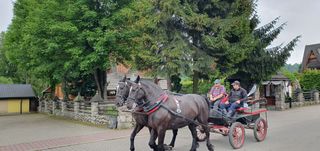 You can also see a horse-drawn carriage