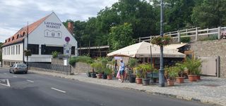 Lavender is the symbol of Tihany