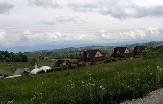 More wooden houses in sight