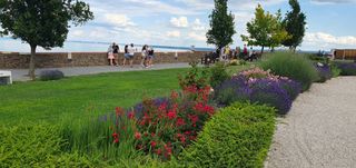 Tihany park