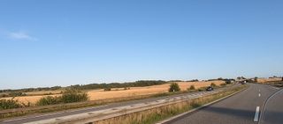 Ripe grain fields near Århus