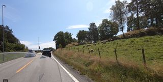 Sheep are quite common domestic animals in southern Norway