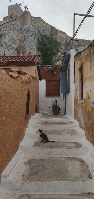 More houses in Plaka district