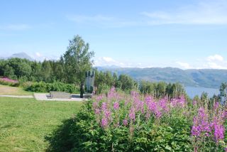 The area of Battle of Narvik monument