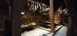 In the museum