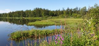A lake park near Tromsø